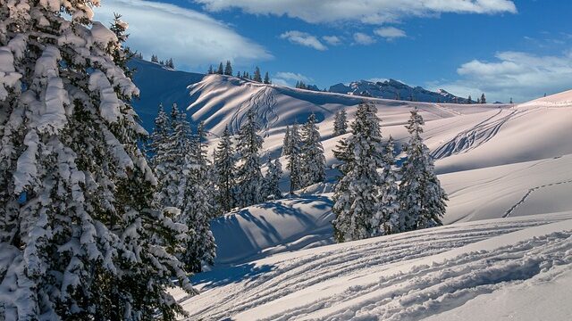 hiver