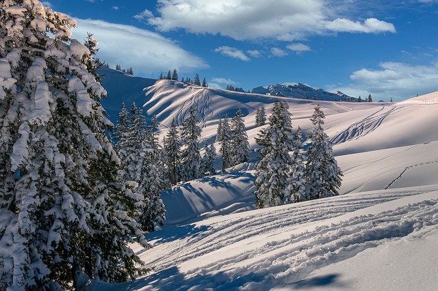 hiver