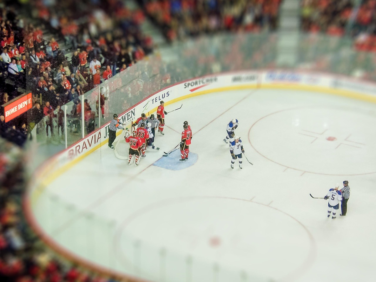 ice hockey, stadium, sports, calgary, canada, people, games, teams, hockey, pengrowth sadeldome, tilt shift, public, team, ice hockey, ice hockey, ice hockey, hockey, hockey, hockey, hockey, hockey